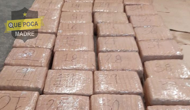 Aseguran 2 mil kilos de marihuana en libramiento de Saltillo.