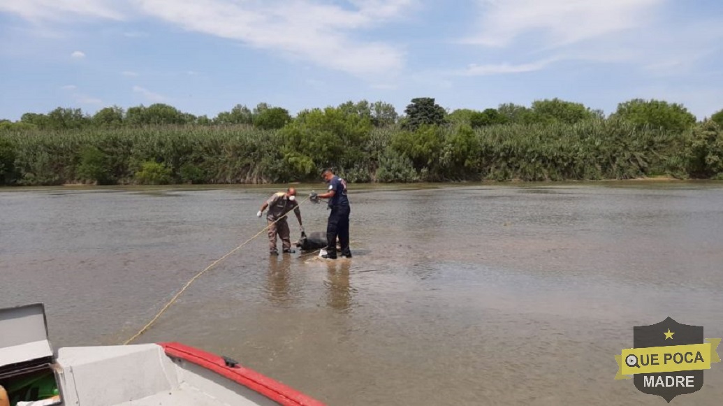 Encuentran cuerpo de un hombre en río bravo en Nuevo Laredo.