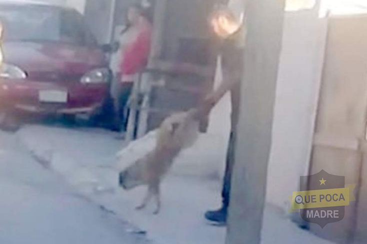 Sujeto enfermo tortura y mata al perro de sus sobrinos frente a ellos en Arteaga.