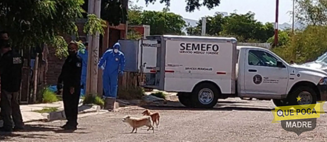 Ejecutan con arma blanca y golpes a un periodista en Ciudad Obregón.