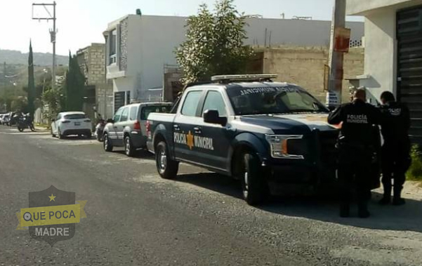 Elementos policiacos frustran el asalto a una tienda en Querétaro.