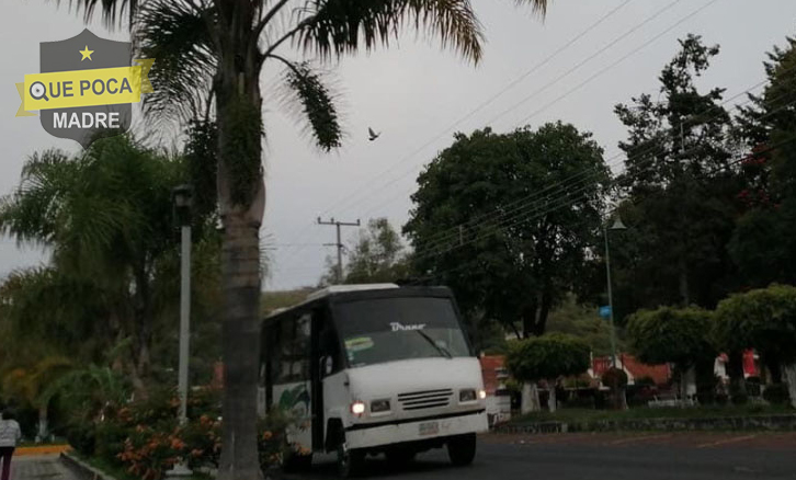 Detienen a 2 rateros gracias al botón de pánico en Puebla