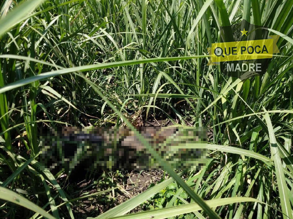 Campesino de Yautepec encuentra un cadáver putrefacto en sus parcelas.