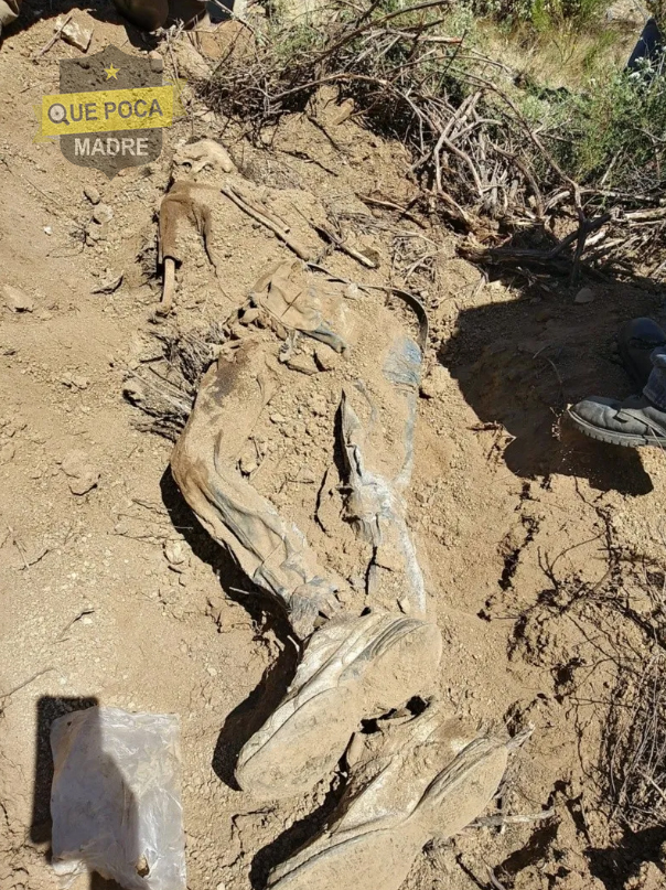 Encuentran otro cuerpo en mega fosa de Tijuana.