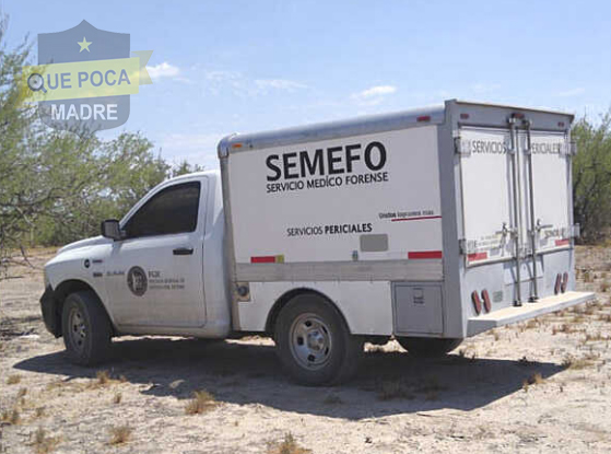 Encuentran a un ejecutado con el tiro de gracia en predio baldío de Hermosillo.