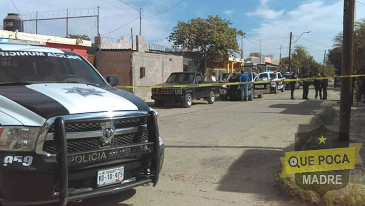 Familiares encuentran a anciano colgado de un árbol en Hermosillo.