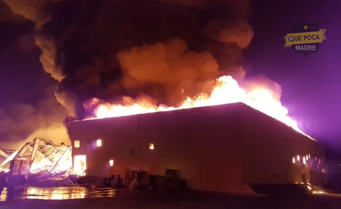 Fábrica de almohadas queda hecha cenizas tras fuerte incendio en Tijuana. (Vídeo)