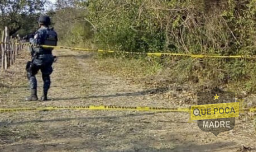 Encuentran más de 30 cuerpos en predio baldío de Tecomán.