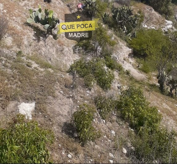 Encuentran a una pareja ejecutada en barranca de Puebla.