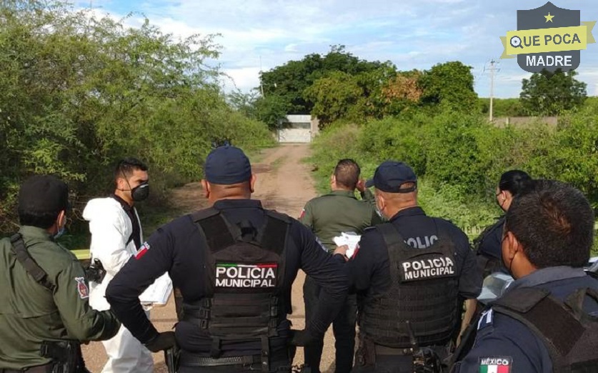Encuentran dos cuerpos quemados en Sinaloa.