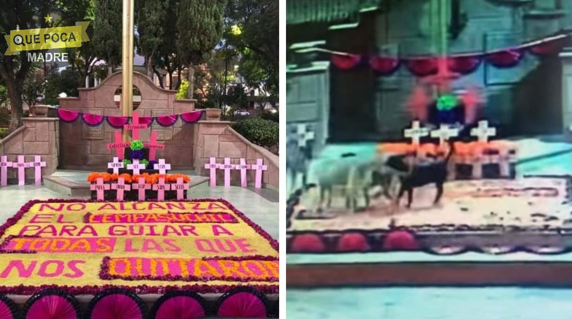 Perros destruyen ofrenda de feministas en Zumpango.