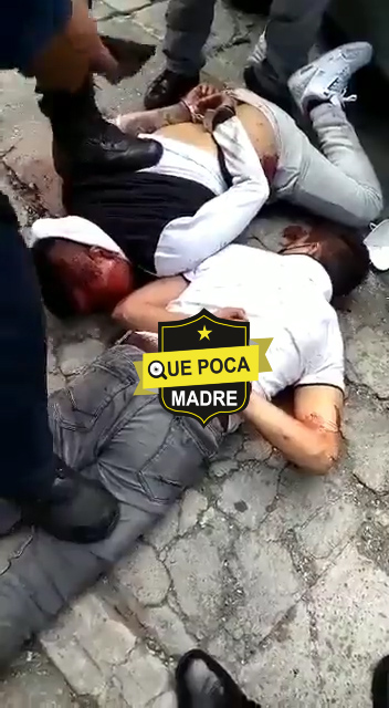 Asi quedaron llorando estos malandrines detenidos