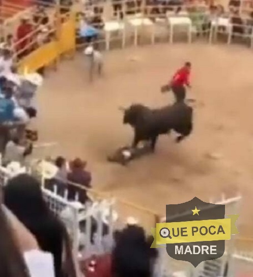 TORO APLASTA A JINETE EN MORELIA.