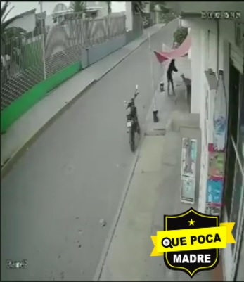 HOMBRE ASESINA A BLAZOS A UN PERRO EN PUEBLA.