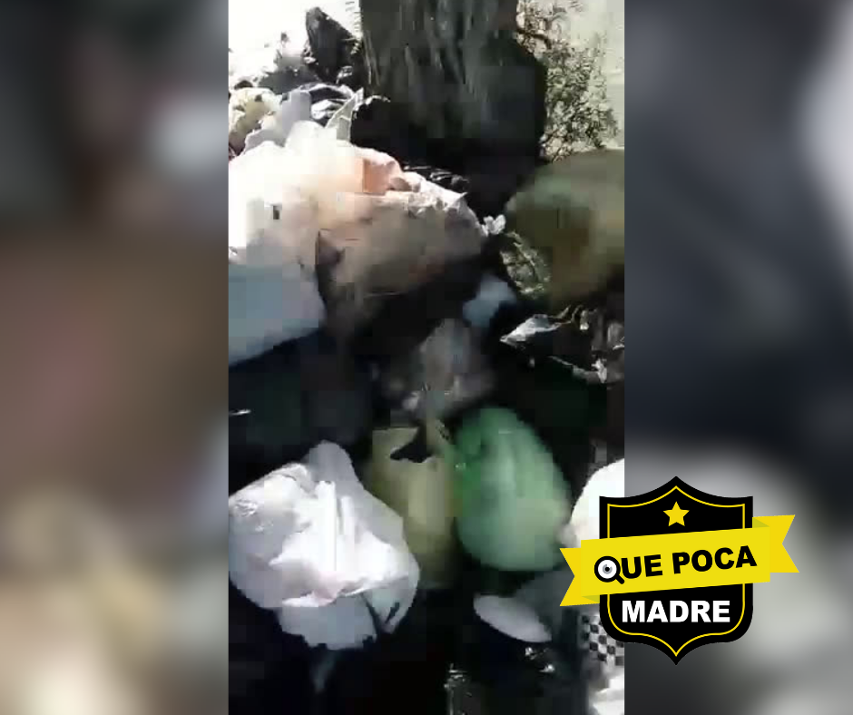 ❌🚛‼️SIN SERVICO DE RECOLECCIÓN‼️🤮 TLALNEPANTLA LLENA DE BASURA EN SUS CALLES😡