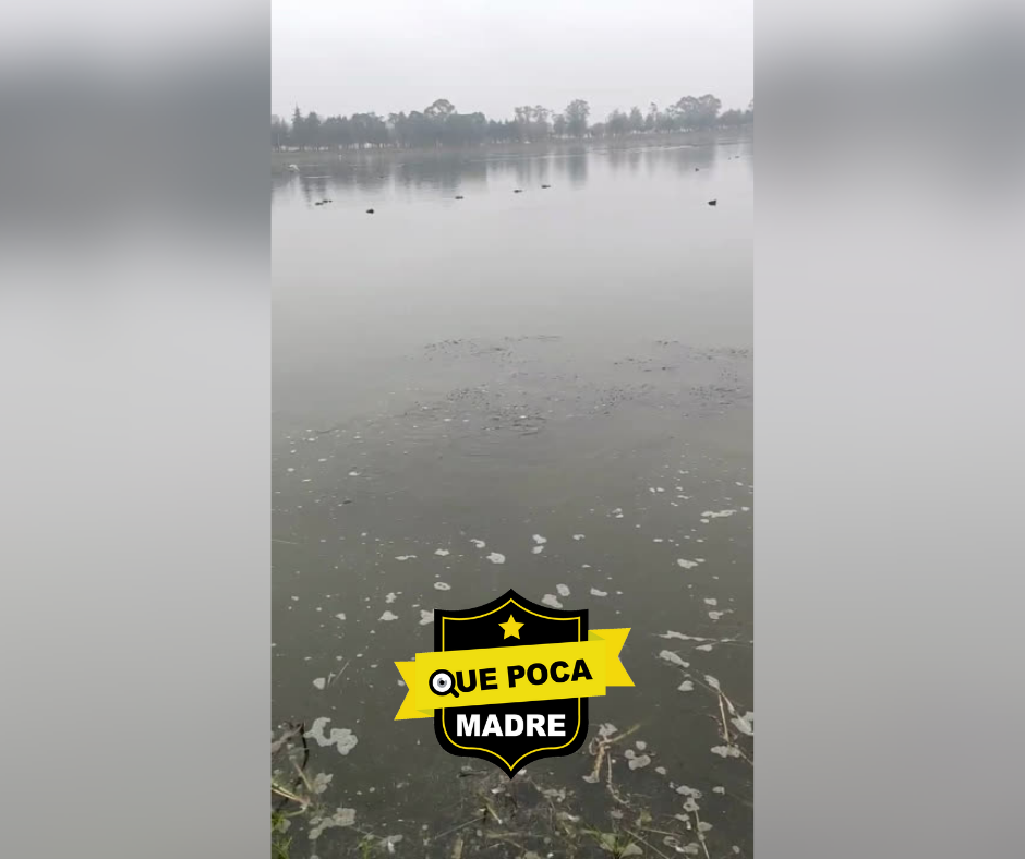 ❌⚫️🐟🌊‼QUÉ ESTÁ PASANDO⁉️😰 AHORA BROTAN PECES MUERT0S POR AGUAS CONTAMINADAS EN TOLUCA ☢️