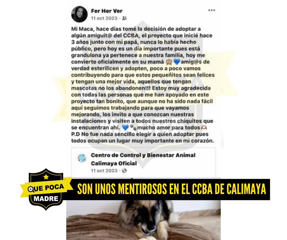 #SOS ‼️🆘 EL “CENTRO DE CONTROL Y BIENESTAR ANIMAL” DE CALIMAYA NOMÁS ESTÁ DE ADORNO 🗣️😡❌