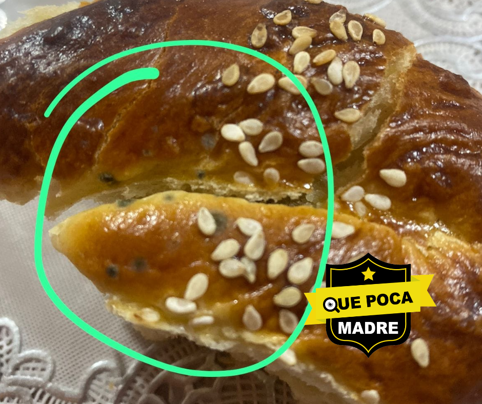 🍞🤢❌ | ASCO DE PAN… NUESTRA SALUD ESTÁ EN RIESGO