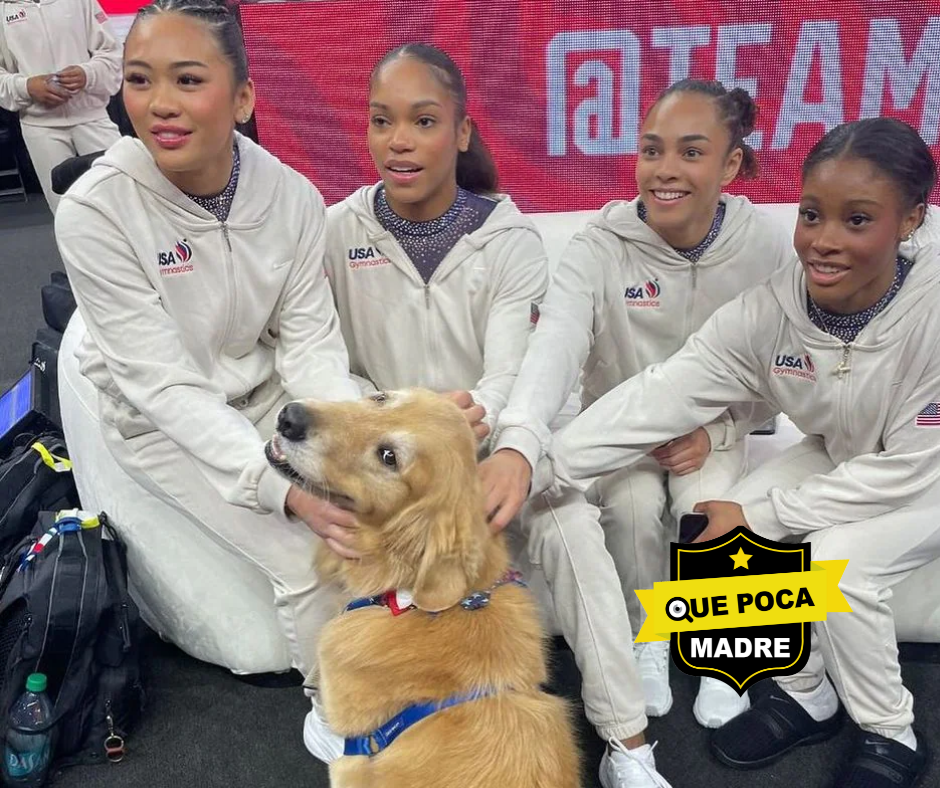 #SabíasQue‼️🤔 UN #Lomito FORMA PARTE OFICIAL DEL EQUIPO DE #Gimnasia DE #USA 🐶🇺🇸🥰