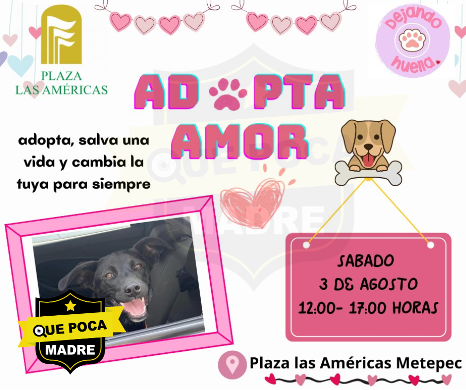 🚨‼️#AvisoImportante‼️🚨 JORNADA DE #Adopción… VEN A CONOCER AL PRÓXIMO MIEMBRO DE TU #Familia 🐶🥰❤️