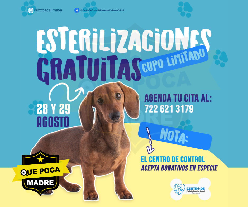 #EsterilizarEsAmar‼️🫶 ÚNETE A LA CAMPAÑA DE GRATUITA DE ESTERILIZACIÓN EN #Calimaya, #Edomex 🐶🐱🏥