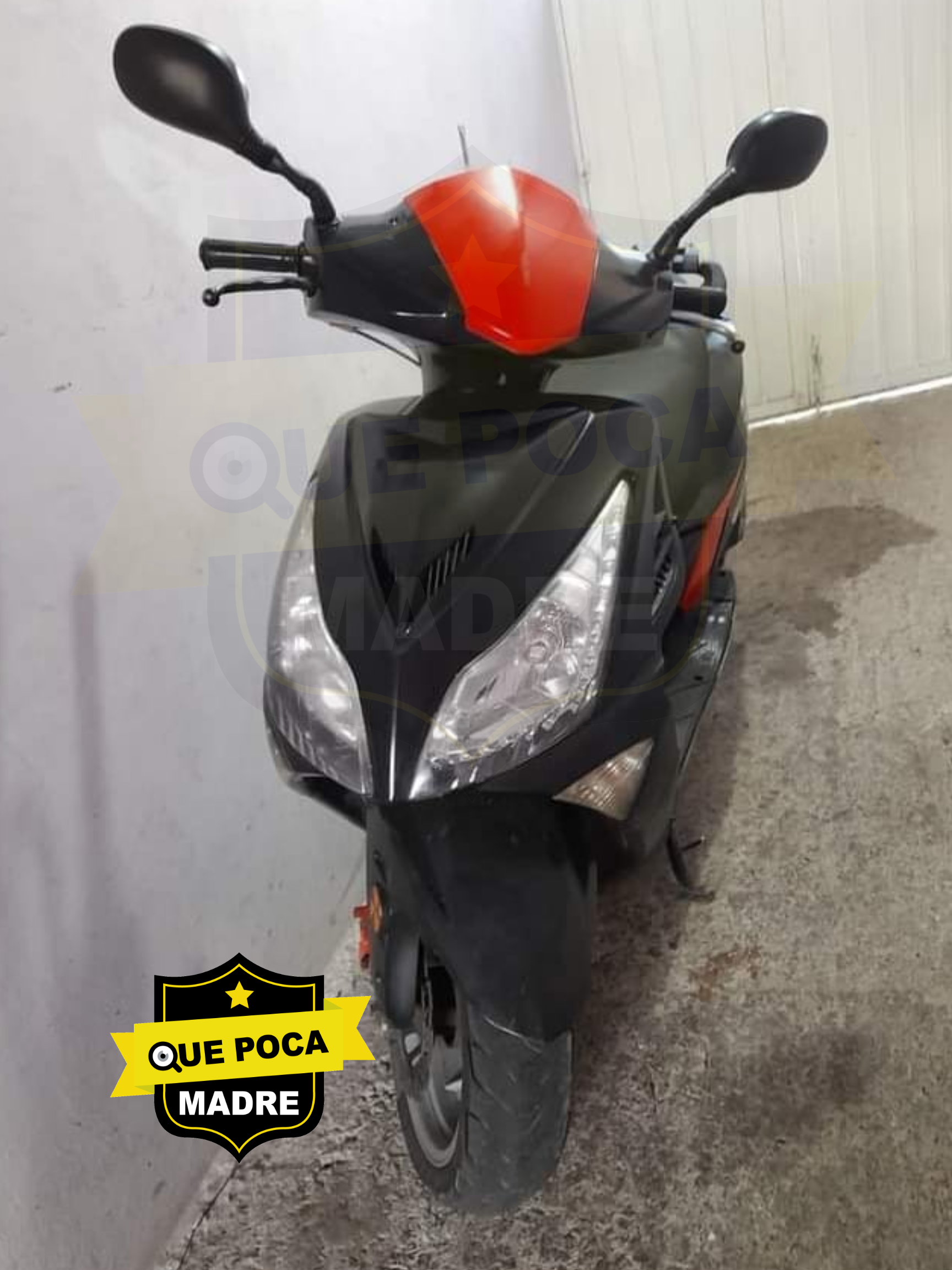 PINCHES RATAS, ANDAN IMPARABLES 🏍️🐭🚔