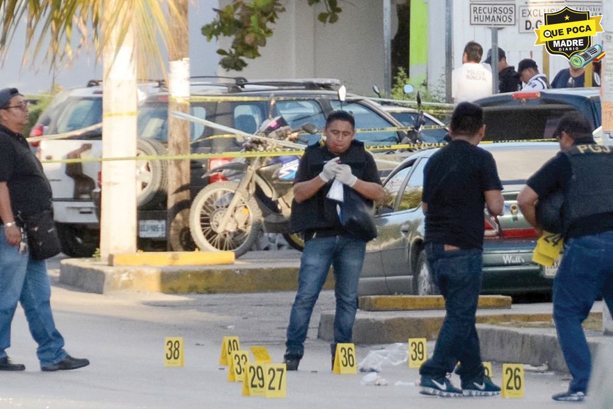 PARAÍSO PERDIDO: OLA DE TERROR Y SANGRE ARRASA CON QUINTANA ROO