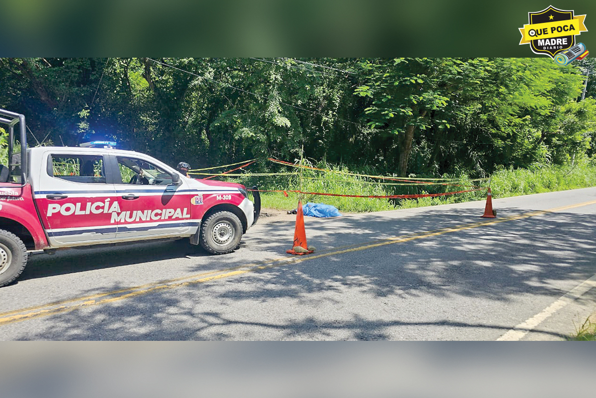 ¡LO DEJARON BIEN ENVUELTO! Encuentran a hombre maniatado y balaceado en Jalpan