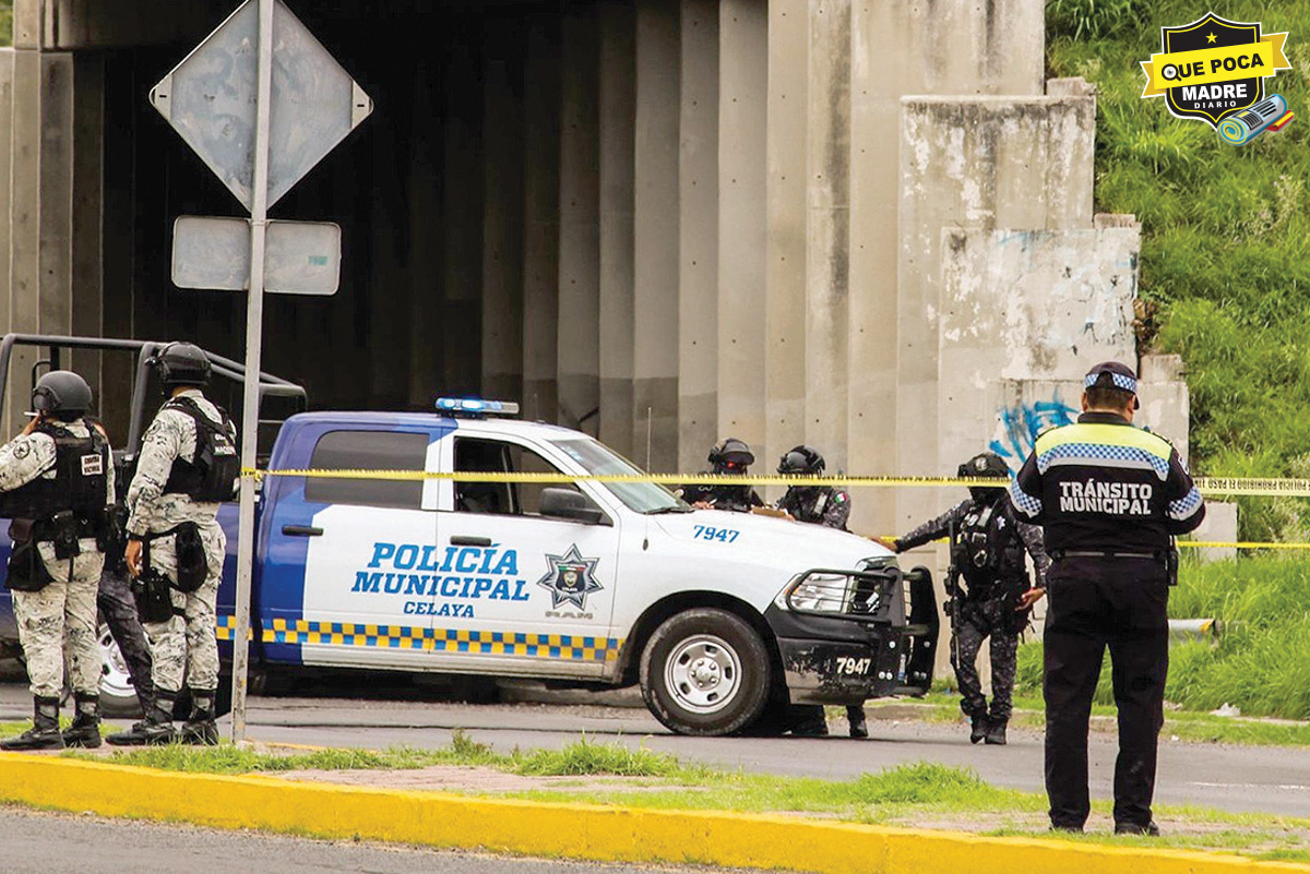 GUANAJUATO: primer estado a nivel nacional con 8 asesinatos diarios