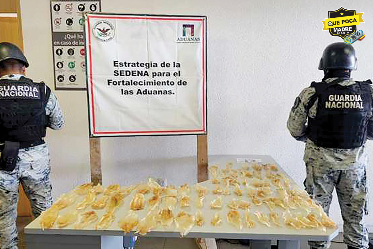 GUARDIA NACIONAL DECOMISA BUCHES DE TOTOABA EN SONOYTA, SONORA