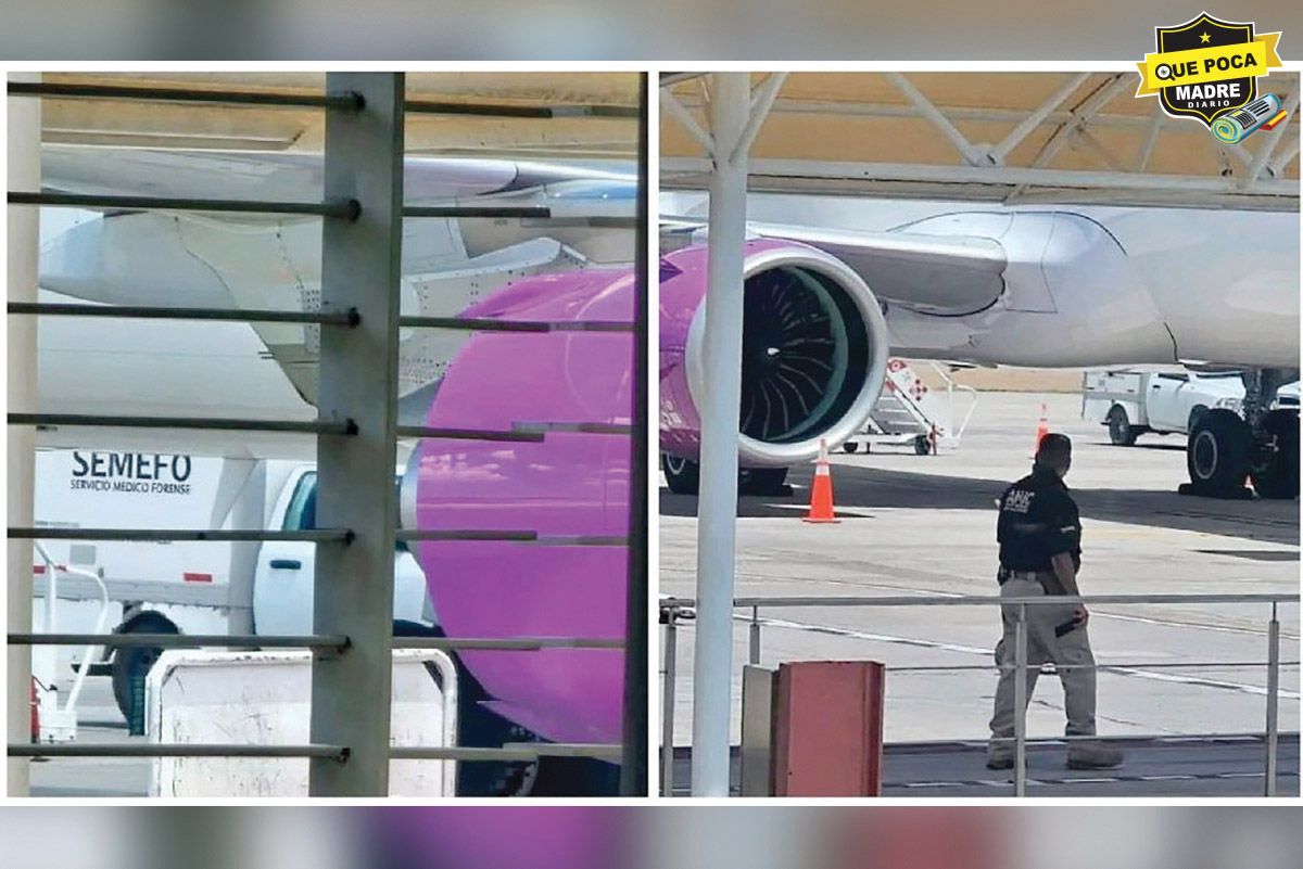 ¡HALLAN FETO DE 6 MESES EN AVIÓN COMERCIAL!