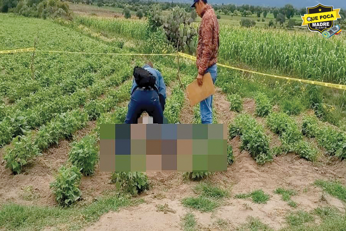 ¡LO MATARON A GOLPES! Y LO TIRARON EN TERRENOS DE CULTIVO