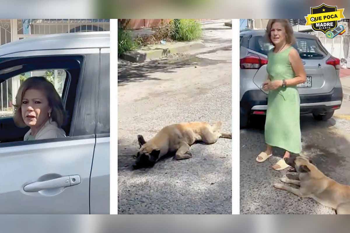 ¡HIJA DE LA CHINGADA! Mujer arrastra a lomito con su camioneta