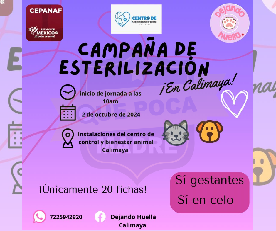 🐶🐱💉🤎 | ESTERILIZAR ES AMAR… CAMPAÑA DE #Esterilización EN CALIMAYA