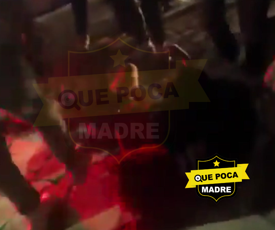 ‼️ASÍ SE DEBE TRATAR A LOS V|0LAD0RES‼️ DICEN VECINOS ENARDECIDOS 🤬🚔🎥