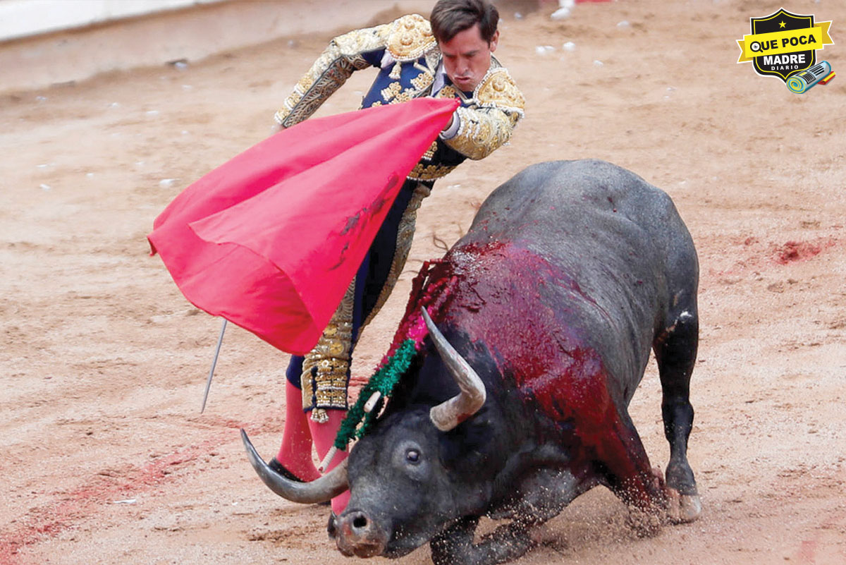 ¡NO MÁS CORRIDAS DE TOROS!