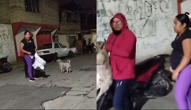 ¡QUE POCA MADRE! HABITANTES DE IXTAPALUCA EXIGEN JUSTICIA PARA EL PERRITO “SUADERO”; ESTOS HDSPM LE DIERON UN “LEVANTÓN” 🚨🐶😱