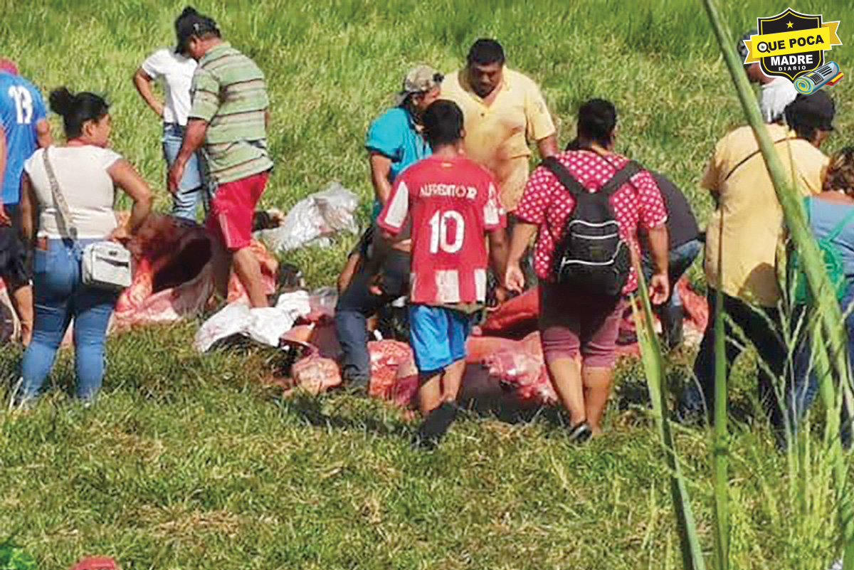 ¡SE ARMA LA DESTAZADERA! Hacen rapiña a tráiler que transportaba reses en Tabasco