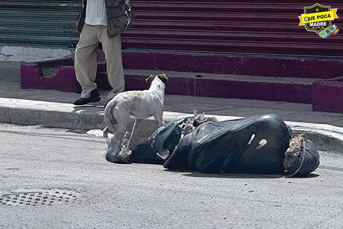 ¡Lo dejaron como regalo! Tiran un cuerpo embolsado en Guerrero