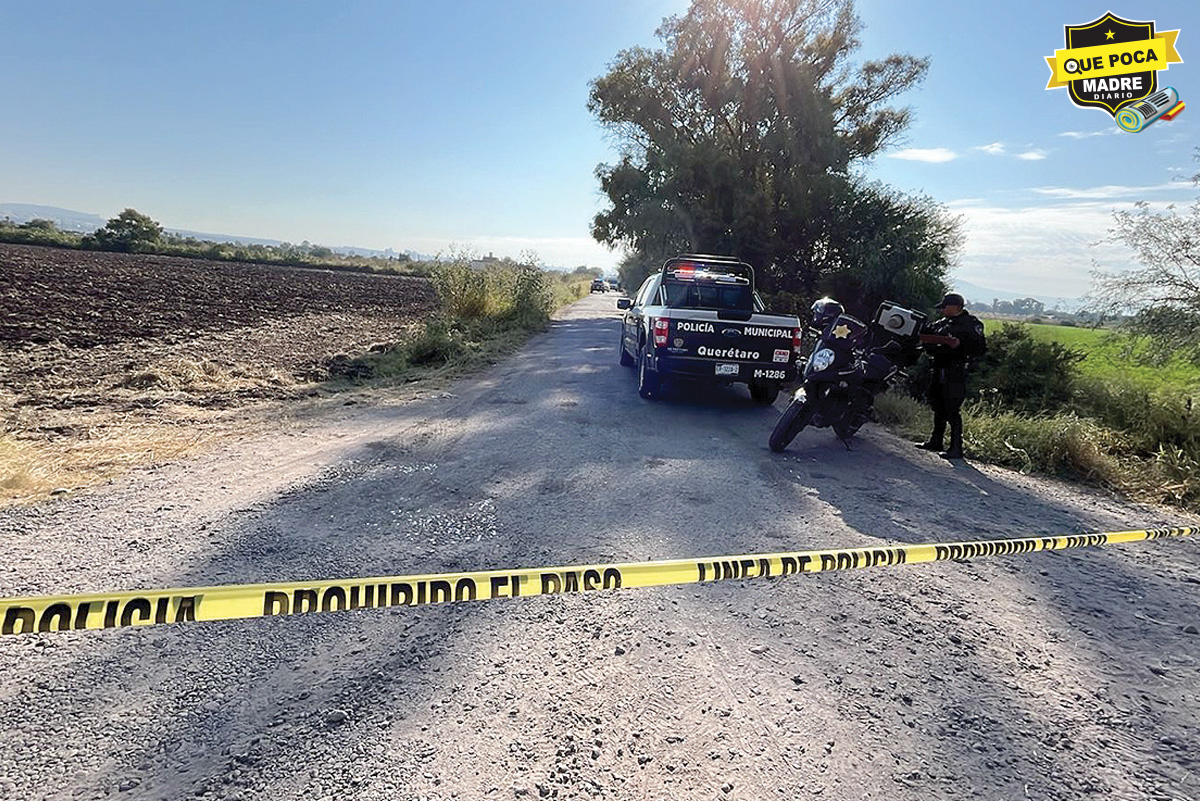 COLGADO DE UN ÁRBOL ENCUENTRAN A UN HOMBRE EN QUERÉTARO