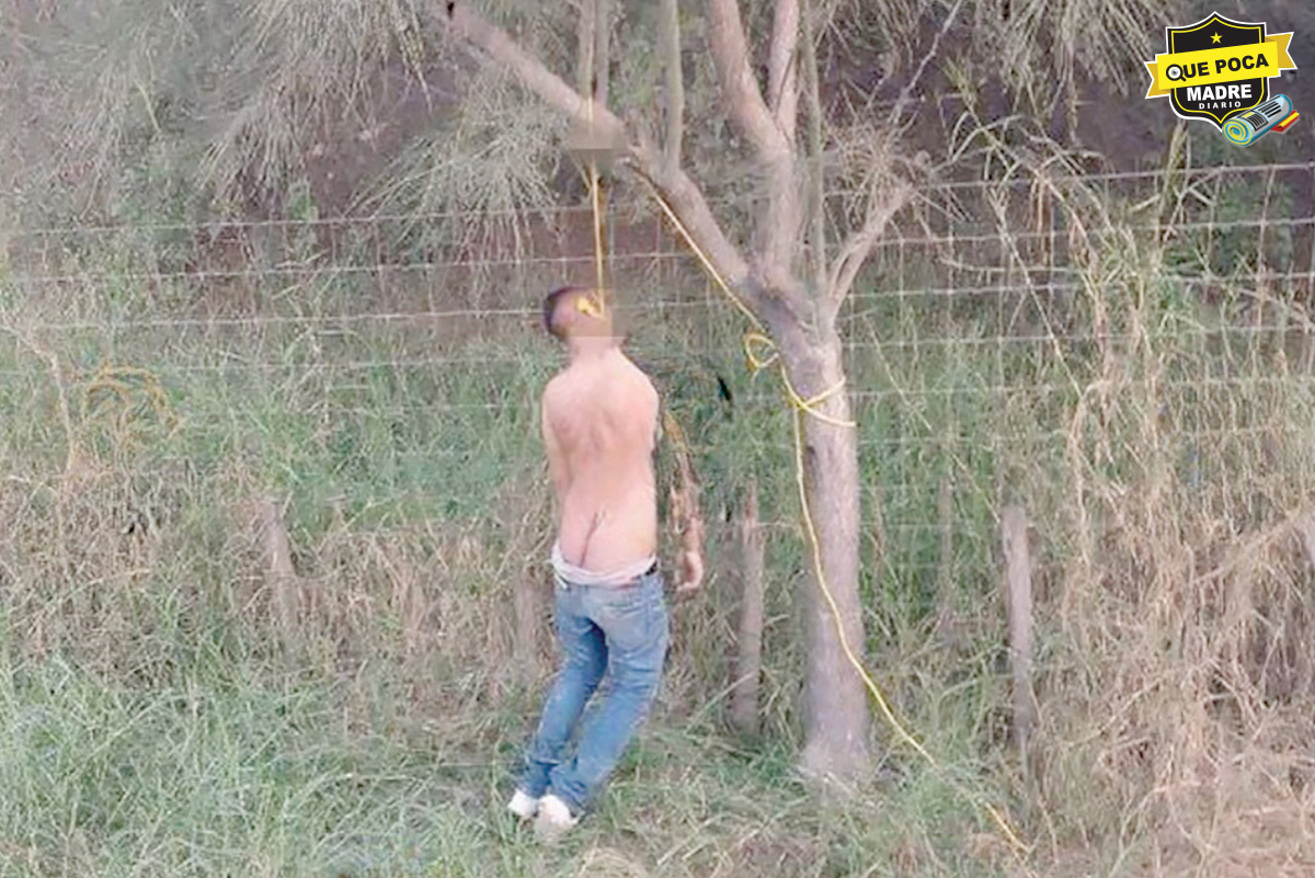 ¡COMO JUDAS ISCARIOTE! Aparece colgado de un árbol en Montemorelos, NL