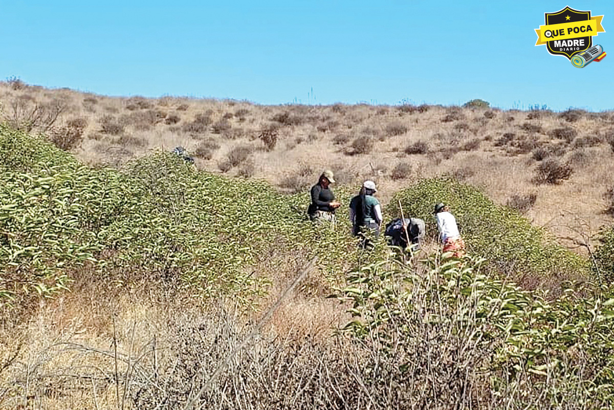 Dos fosas clandestinas son halladas en cerros de Ensenada, Baja California