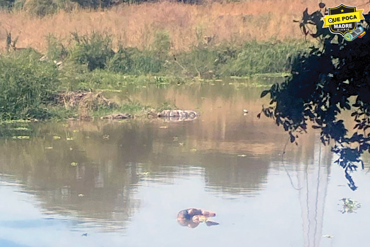 ¡LA VIOLENCIA SIGUE REINANDO EN SINALOA! Encuentran un muerto flotando en un río, en Culiacán