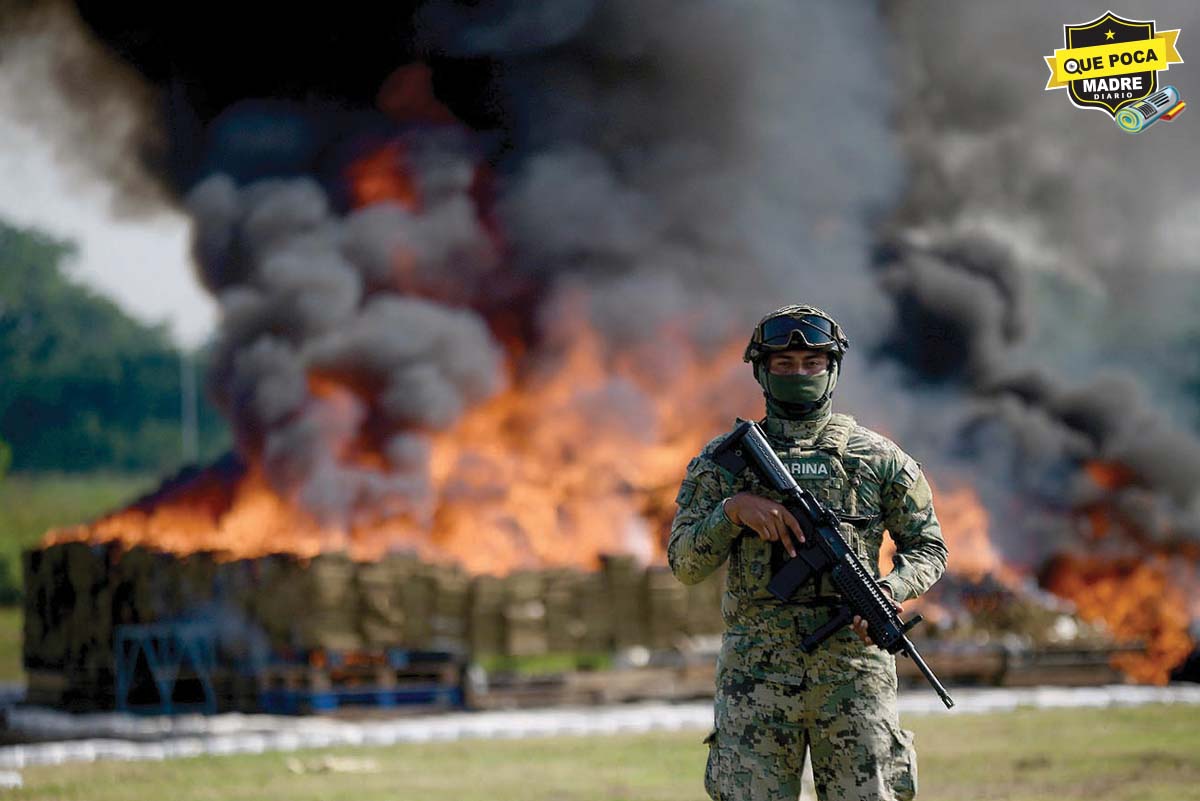 Incineran más de 6 toneladas de drogas en Veracruz