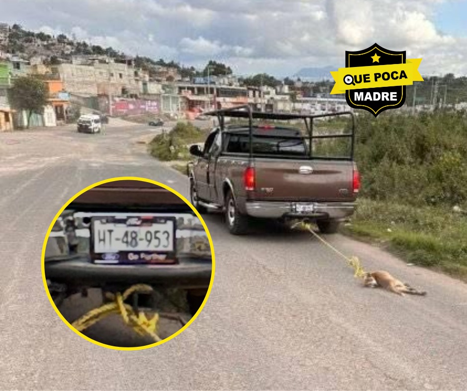 UN PENDEJAZ0 MÁS‼😡 LLEVABA ARRASTRAND0 A UN LOMITO 🐶❌🚔