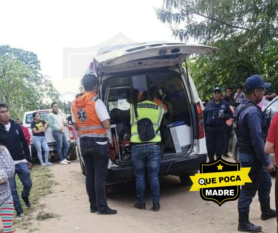 PEQUEÑITA PIERDE UNA EXTREMIDAD TRAS SER ATACADA POR UNOS PERROS 🆘🚑🚨