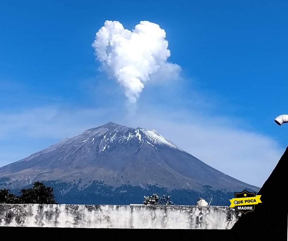 AAWW‼️🥰 DON GOYO ESTÁ ENAMORADO 🏔️❤️