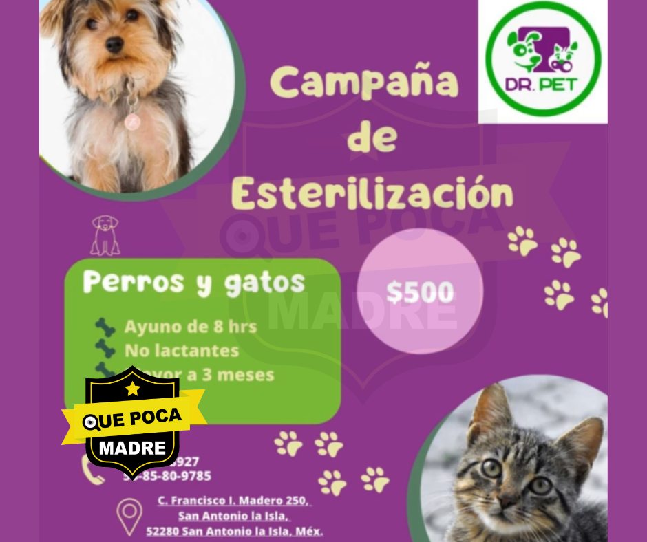 #EsterilizarEsAmar‼️❤️ LLEVA A TUS AMIGOS DE 4 PATITAS A LA CAMPAÑA 🐱🐶🏥