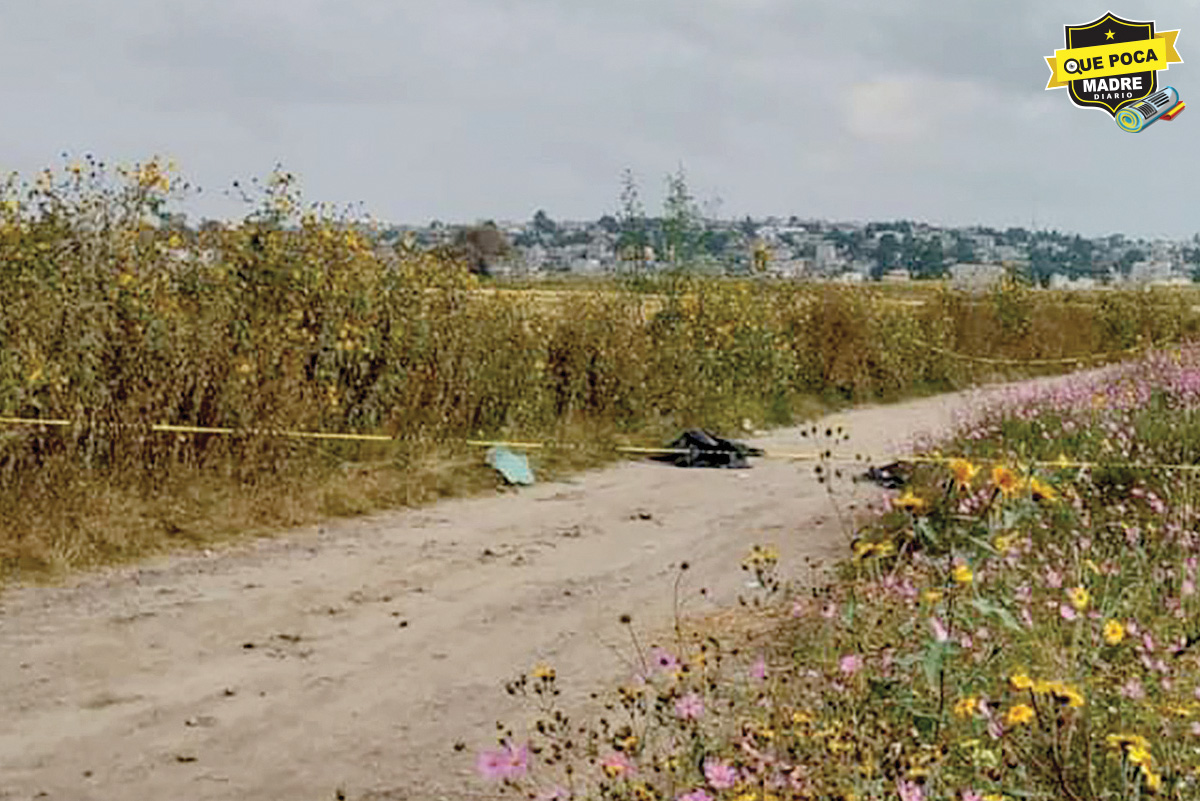 ¡TIRAN MÁS MUERTOS EN EL EDOMÉX! Dejados como basura localizan a 4 ejecutados en Chalco