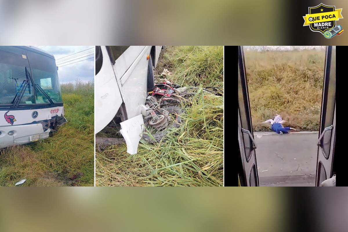 ¡TRAGEDIA FAMILIAR! Mueren padre y sus dos hijos al ser arrollados